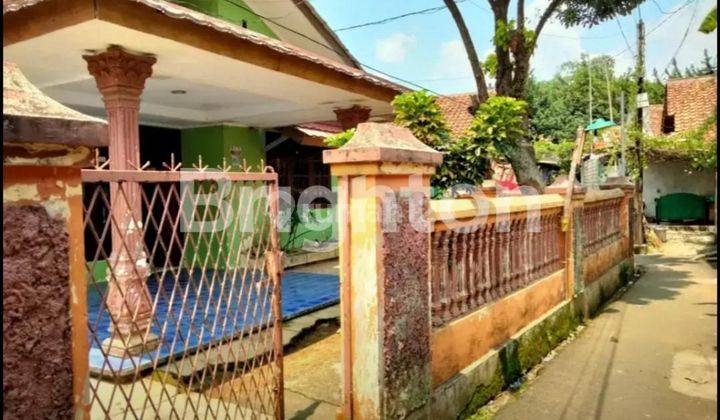 RUMAH TINGGAL  DENGAN HALAMAN YANG CUKUP LUAS 2