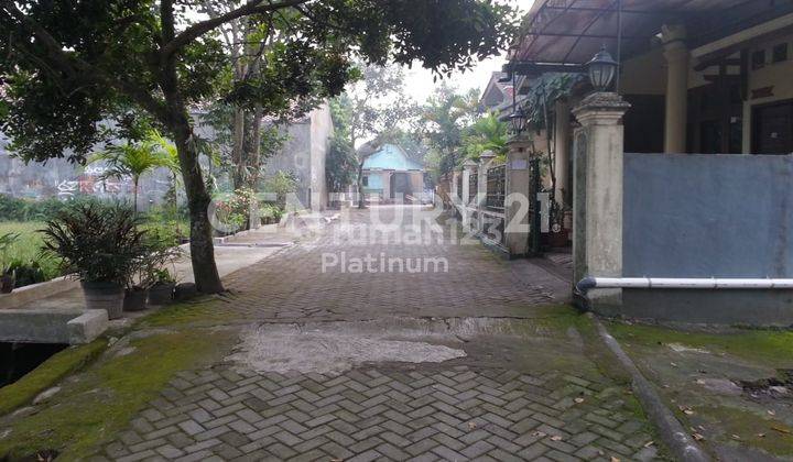 Rumah di Jalan Bedreg Sembego Jogja 2