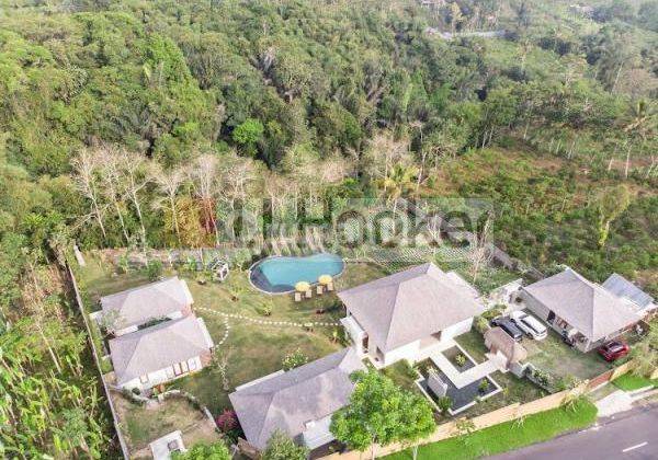 Luxury Villa For Sale At Payangan Gianyar 1