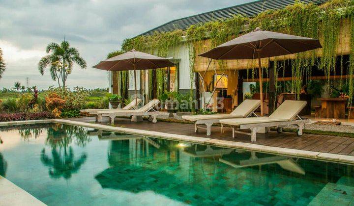 Tropical Villa With Beautiful Rice Field View Furnished 1