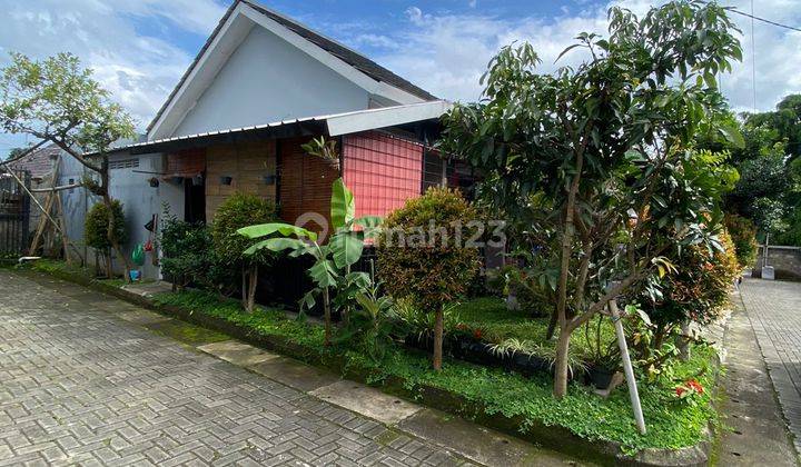 Rumah Minimalis Terawat Di Bumi Asri Cihanjuang, Bandung 2