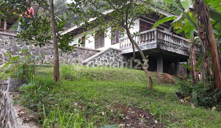 Villa Murah di Megamendung Villa Murah di Megamendung