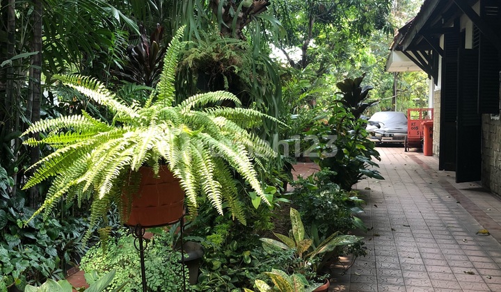 Big house by the roadside.