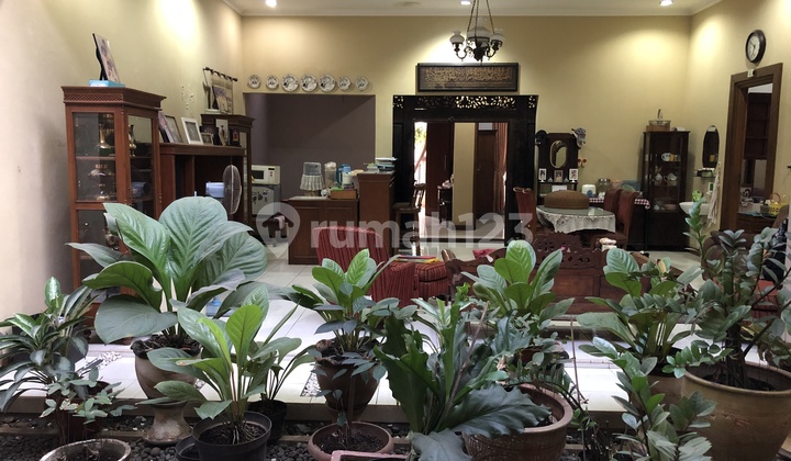 Dijual rumah luas dan nyaman dan asri ada taman di dalam (NY)