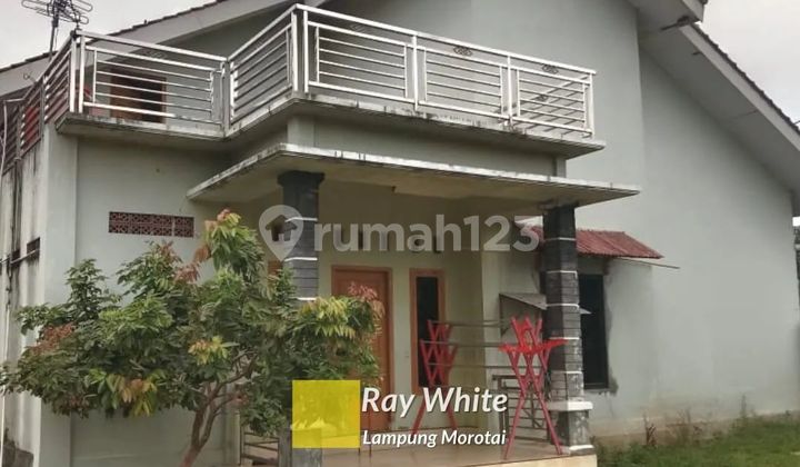 Murah Rumah Plus Kost-Kost-an 2