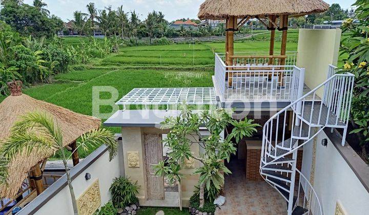 Villa + Kolam Renang View Sawah  Badung Bali 1