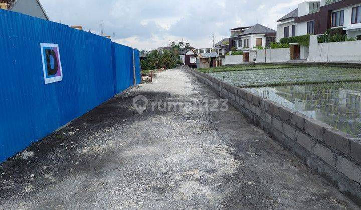 Dijual Cluster Rumah Villa Di Canggu Bali Dekat Pantai 200 meter 2