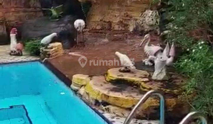 Dijual rumah bagus rapih,ada swimming pool di sunter 1