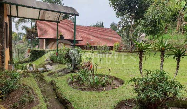 Bernegosiasi menggapai MIMPI, rumah bertaburan kemewahan..DI LEMBANG BANDUNG  1