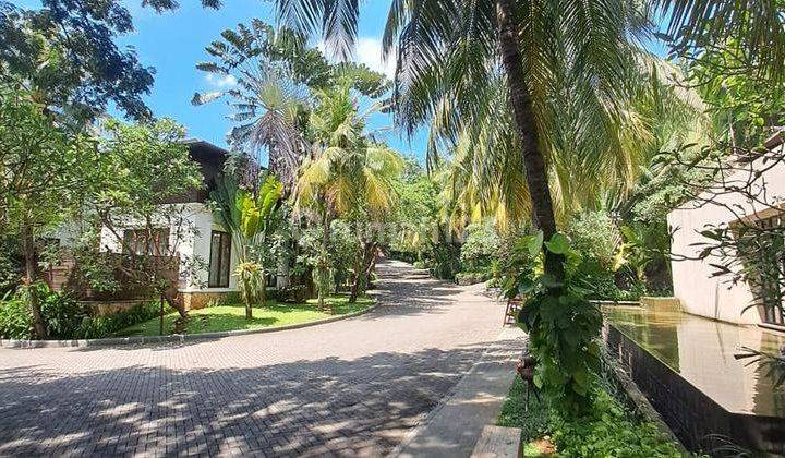 Balinese Modern Houses Compound In Antasari Area.only 10 Minutes From Toll Road 2