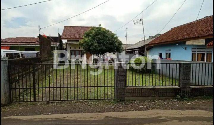 RUMAH NYAMAN DENGAN HALAMAN YANG LUAS UNTUK DI HUNI ATAU BUKA USAHA 1