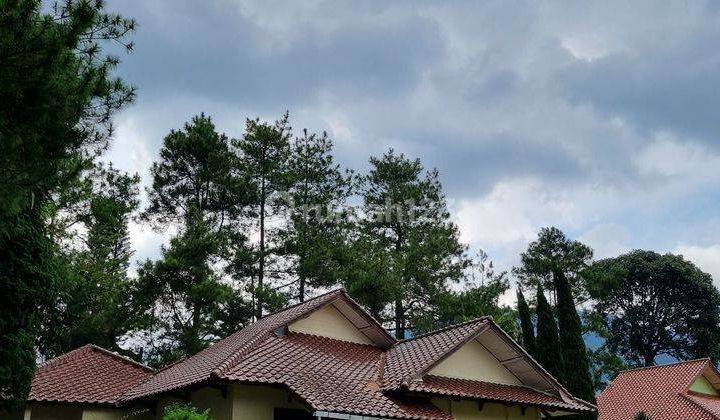 Villa Nyaman Siap Huni 670m2 Posisi Hook di Bougenville Puncak  2