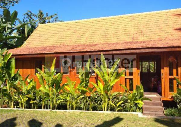 Cozy Villa For Retreat In Quiet Area Payangan Gianyar Close to Ubud 1