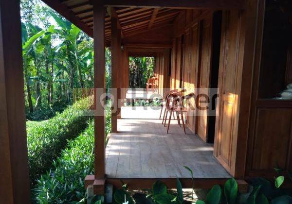 Cozy Villa For Retreat In Quiet Area Payangan Gianyar Close to Ubud 2