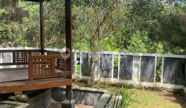 MODERN DAGO HOUSE MODERN DAGO HOUSE