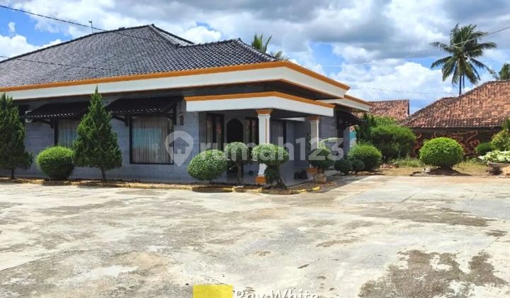Cepat Rumah Mewah dan Luas 2