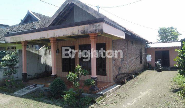 RUMAH ASRI BAGUS 0 JALAN RAYA BARENG JOMBANG 1