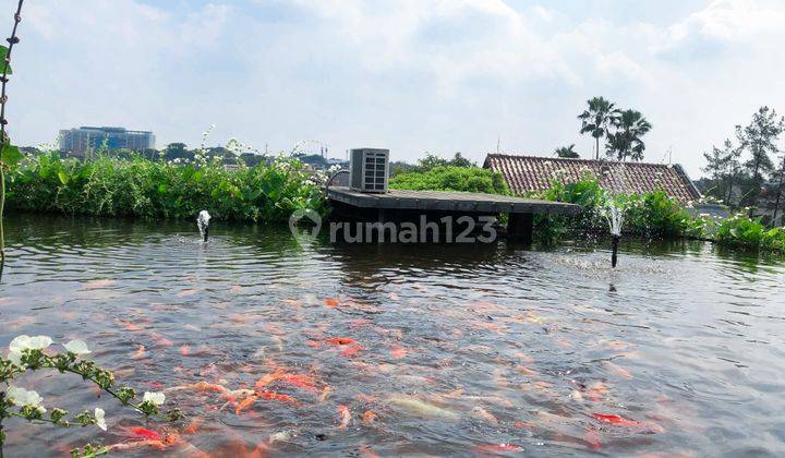 Rumah Bagus Dengan Nuasa Alam di Pisok Bintaro Jaya Sektor V #CHWW 2