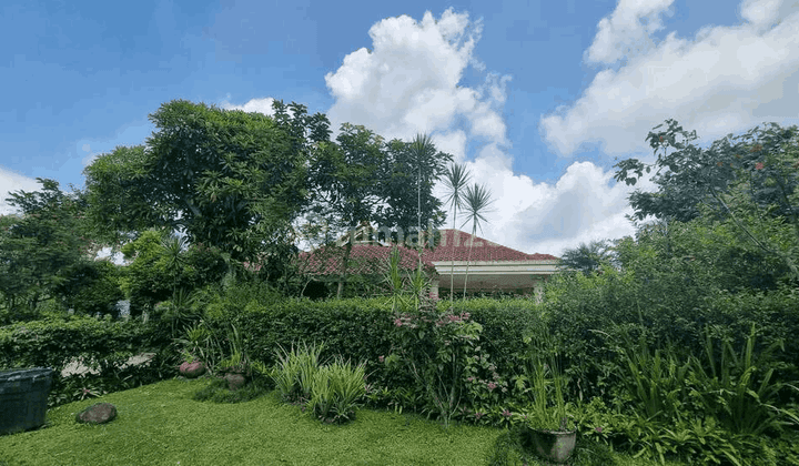 Rumah Mewah Di Cluster Bunga Raya Rancamaya Bogor 1