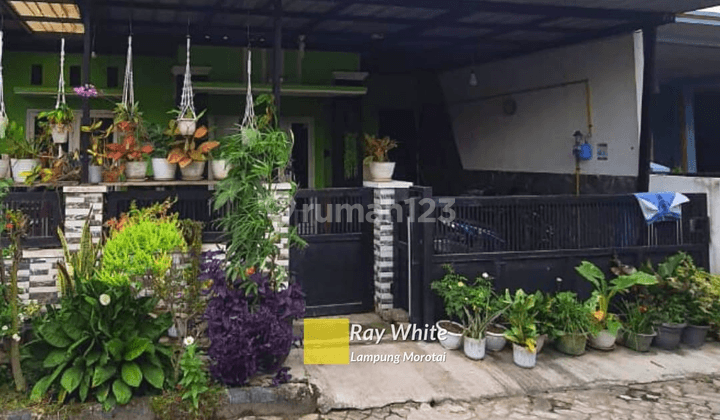 Rumah  2 Lantai Perum Indah Sejahtera 1