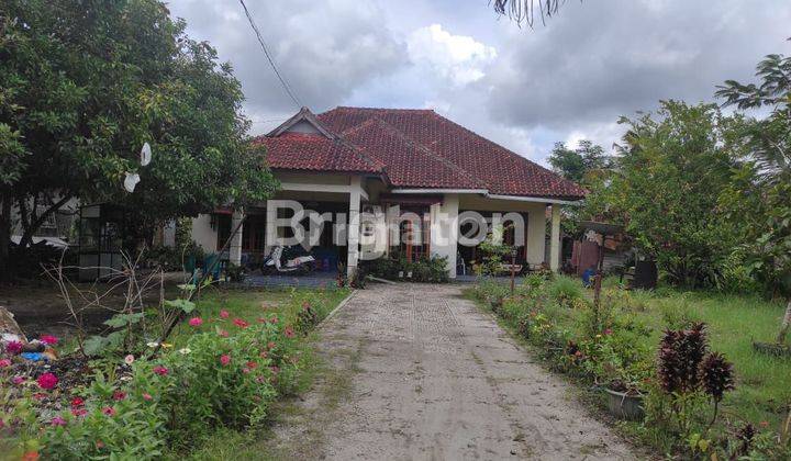 Rumah Tanah Luas di Jekan Raya Palangka Raya 1