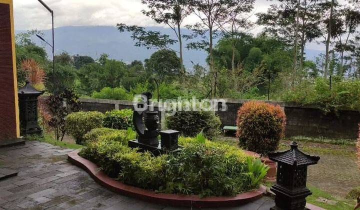 VILLA AGROWISATA BATU, MALANG VILLA TERAWAT SIAP HUNI DAN ASRI 2