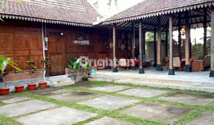 VILLA ASRI OMAH NONGKO NGEMPLAK SLEMAN DIY 1