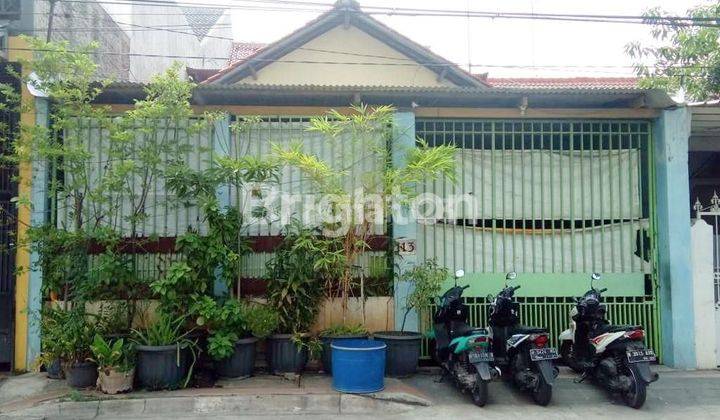  RUMAH TIGA LANTAI UNTUK TEMPAT TINGGAL DAN USAHA DI TLOGOSARI 1