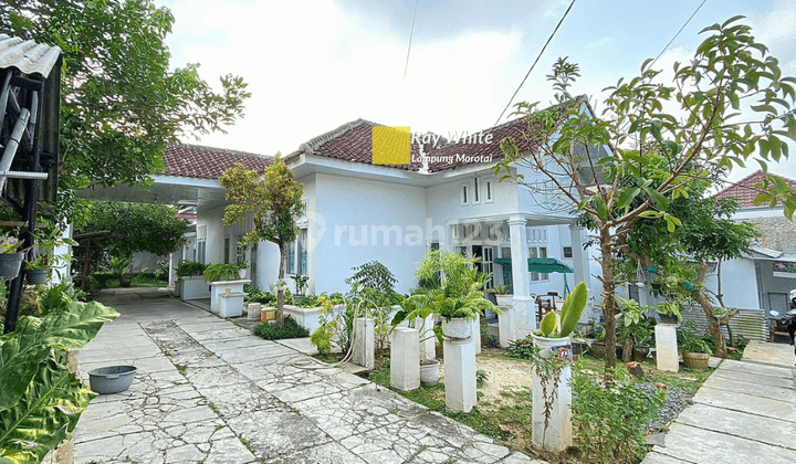 Rumah Jalan Pagar Alam Gunung Terang,Langkapura Bandarlampung 2