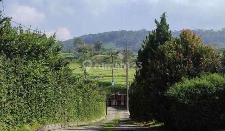 Dijual Villa Bagus Polll Ada Kolam Renang Daerah Trawas Dekat Rustic Market 2