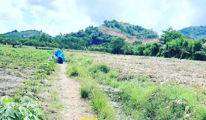 TANAH JL. PANGERAN TIRTAYASA SUKABUMI BANDAR LAMPUNG 1