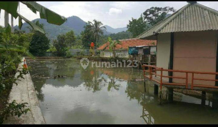 Tanah Rumah Kolam Kandang Ayam di Gentong Tasikmalaya 1