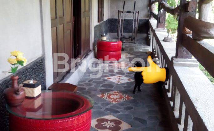 RUMAH SENI, ADA JOGLO DI TENGAH, SIRKULASI UDARA ALAMI 2