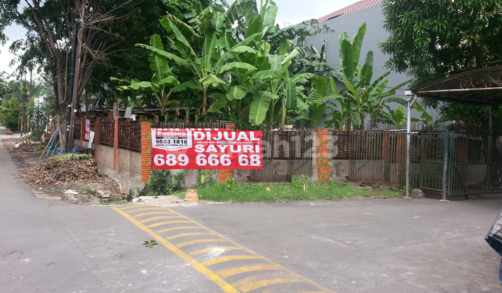 Sunterr - Tanah Hoek 1