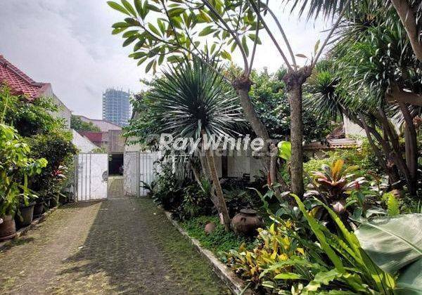 Rumah Asri dan Teduh di Menteng Depan Taman 2