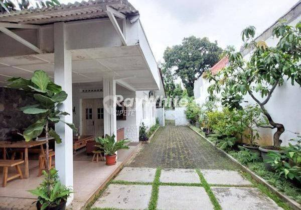 Rumah Asri dan Teduh di Menteng Depan Taman 1