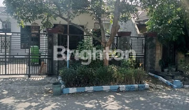 Rumah lebar 9 dan siap huni Rumah lebar 9 dan siap huni