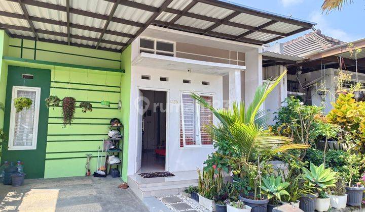 CEPAT RUMAH 1 LANTAI CANTIK & BAGUS SIAP HUNI MODERN HARGA TERJANGKAU 1