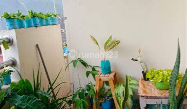 Rumah Bonus Ruko Bagus Pancoran, Jakarta Selatan 2