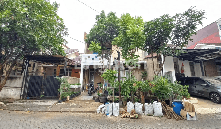 Rumah 2 Lantai 700 Jutaan Di Bukit Cimanggu Bogor 2