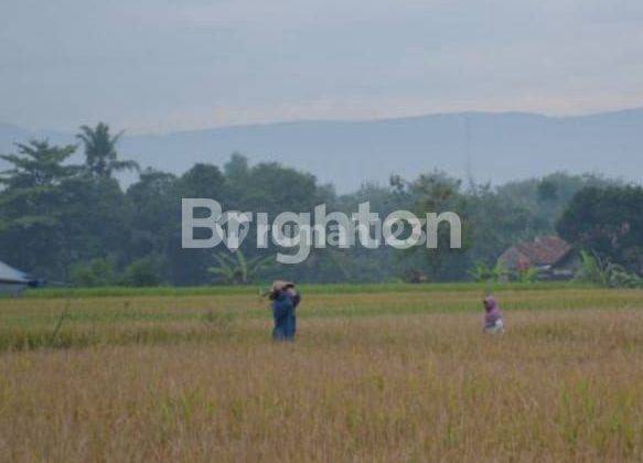 HOME STAY KONSEP KAYU JATI BANGUNTAPAN BANTUL 2