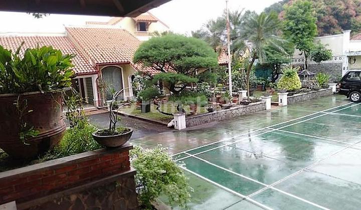 Rumah Asri dan luas di Cilandak Barat 2