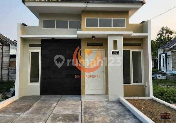 Velvet legundi hanya bayar 1 juta langsung proses bank free biaya Velvet legundi hanya bayar 1 juta langsung proses bank free biaya