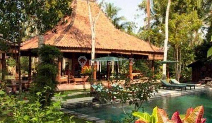 Hot List for Sale Forest View Villa Payangan Location, Ubud 2