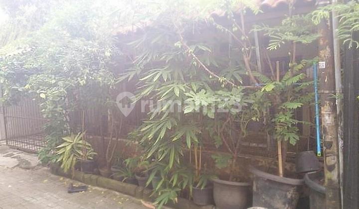 rumah jelambar karya barat 2