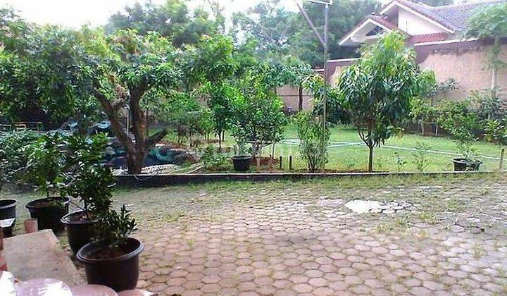 Rumah Luas, Asri n Murah 2 Lt + Kolam Renang di Kavling DPR, Ciganjur 2