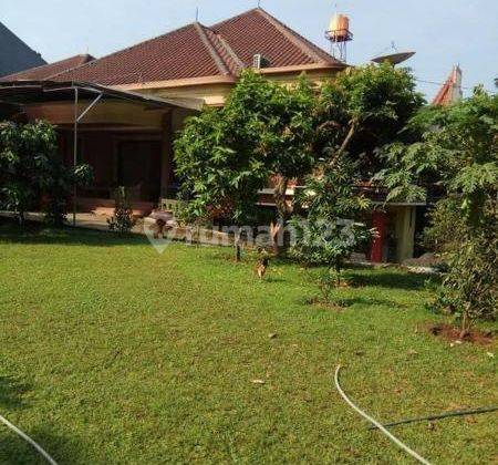 Rumah Luas, Asri n Murah 2 Lt + Kolam Renang di Kavling DPR, Ciganjur 1