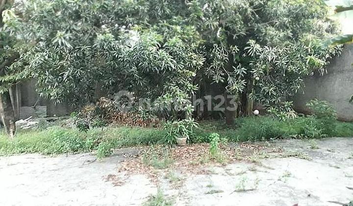 Rumah dan Tanah Luas di Bintaro, Tangerang Selatan. Harga di Bawah Harga Pasaran 2