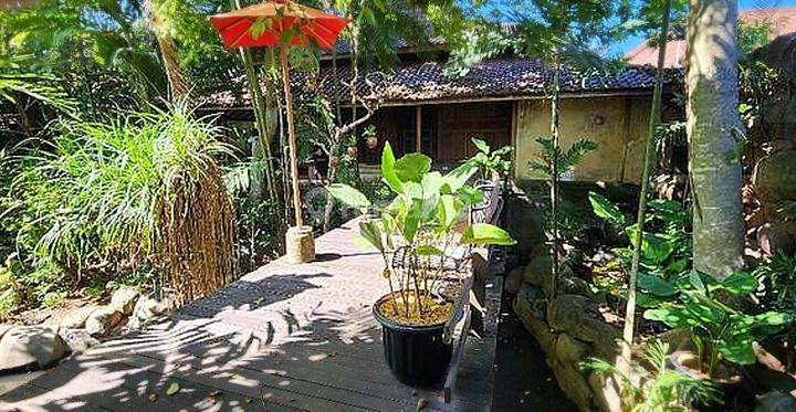 villas and apartments with an atmosphere like in Ubud, located in Kuta, Legian, Seminyak 2