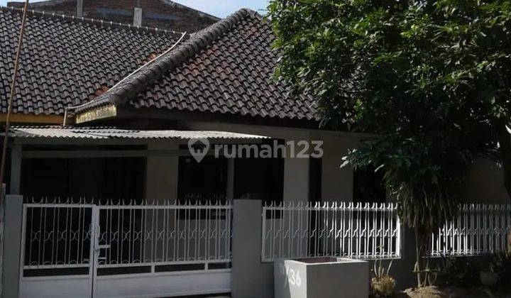 Rumah Di Jl Halmahera, Semarang Timur 1